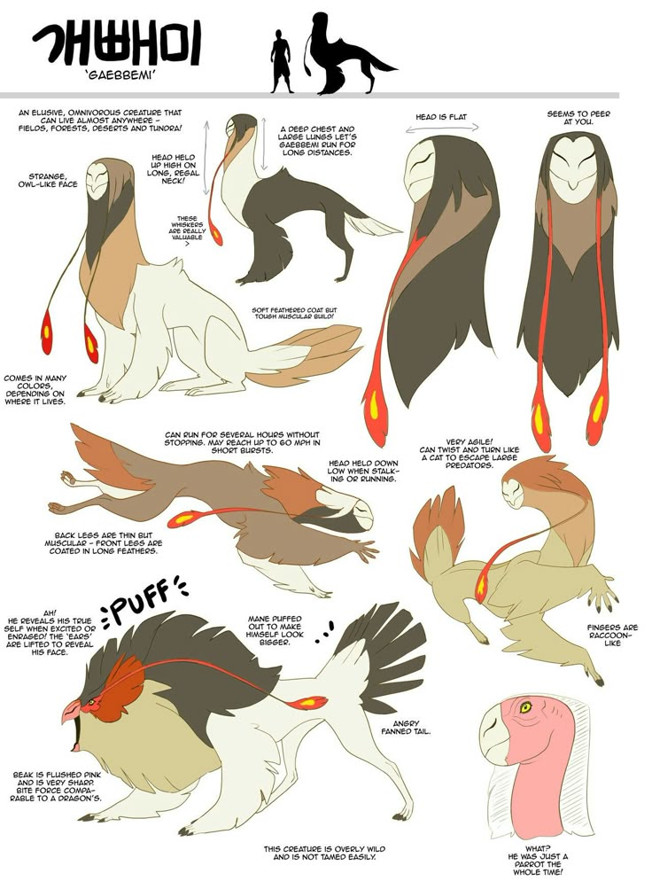 the image is a creature design sheet for a fictional creature called a "gaebbemi". the creature is described as an elusive, omnivorous animal that can live almost anywhere. it has a strange, owllike face, a long, regal neck, and a soft feathered coat. the design sheet shows the creature in various poses and expressions, and it also includes information about its physical characteristics and abilities. one image reveals that the creature is simply a parrot.
