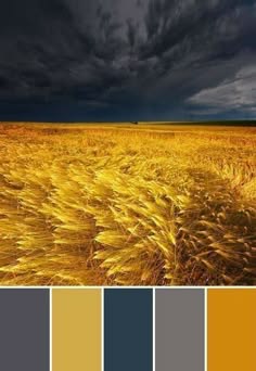 a wide shot of a field of golden wheat waving in the wind, with dark, stormy clouds overhead. the field is a bright gold color, and the clouds are a dark gray. there is a small, dark tree in the distance. the overall effect is one of beauty and serenity.
