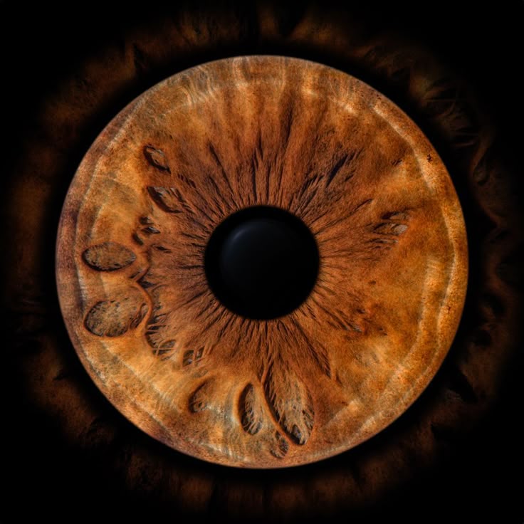a detailed closeup of a brown human eye, showing the iris and pupil against a black background. the iris is highly textured and patterned.