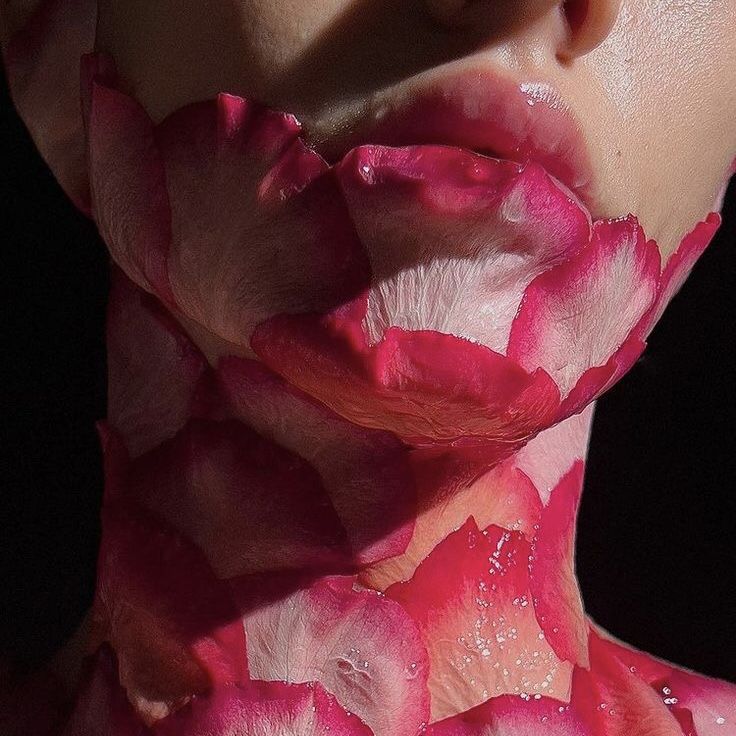 the image is a closeup, macro shot of a person's face and neck adorned with wet rose petals. the petals are meticulously arranged, covering the skin from the lower lip to the upper chest.  the petals appear damp, with visible water droplets. the lighting highlights the texture of both the petals and the skin, creating a striking contrast between the smooth skin and the delicate, slightly translucent rose petals. the overall aesthetic is artistic and sensual, evoking feelings of beauty and fragility.  the dark background accentuates the vibrant pinks and reds of the roses.