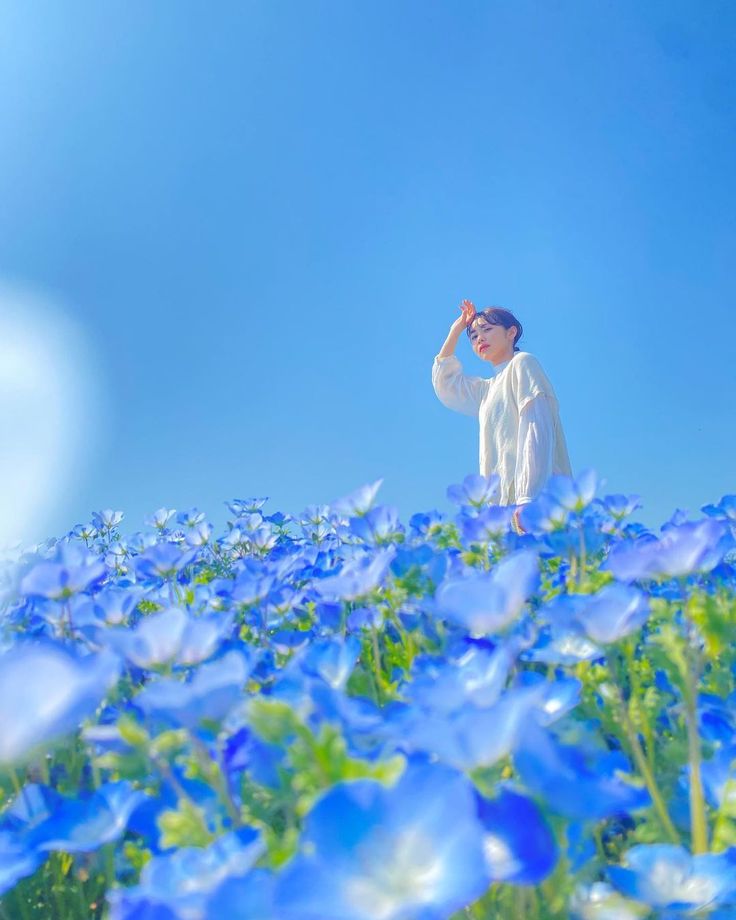 the image shows a young woman standing in a vast field of vibrant blue nemophila flowers (baby blue eyes). she is wearing a white sweater and has her hand shading her eyes, possibly looking towards the sun. the sky is a clear and bright blue, creating a cheerful and serene atmosphere. the overall impression is one of happiness, tranquility, and the beauty of nature.  the focus is slightly soft, creating a dreamy quality to the image. the scene suggests a sunny spring or summer day.