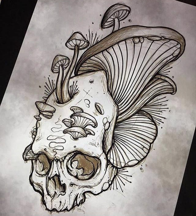a detailed line art drawing of a skull with mushrooms growing out of it. the mushrooms are drawn in a realistic style, with intricate details on the caps and stems. the skull is also very detailed, with visible teeth, eye sockets, and nasal cavity. the drawing is done in black ink on white paper. the overall style of the drawing is gothic and spooky.