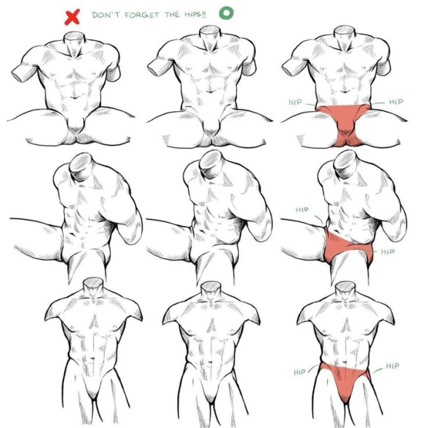 the image is a drawing tutorial about how to draw men's hips. it features three different poses, each shown from the front and side, with and without the hips drawn in. the hips are highlighted in red in the final version of each pose.