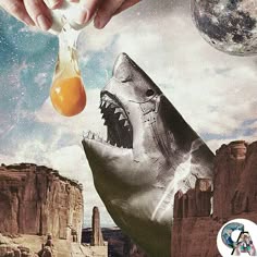 a photo of a shark with its mouth wide open. it looks as if it is about to eat a yolk from a broken egg that is being held by a hand above its head. the shark is in front of a rocky, desertlike landscape. there is a blue sky in the background with a few white clouds and a moon.
