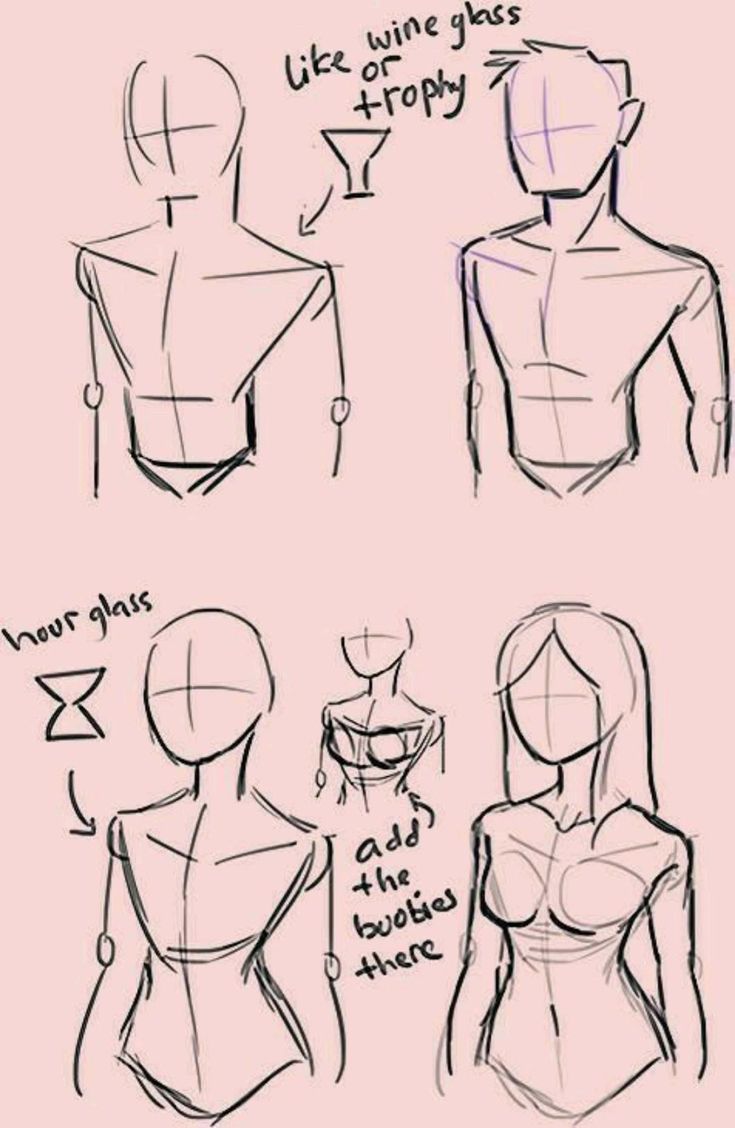 the image is a drawing tutorial showing how to draw simplified male and female torsos.  the tutorial uses basic shapes like a wine glass or trophy shape for the male torso and an hourglass shape for the female torso.  there is one finished simplified body for both male and female.  the drawings are black outlines on a pale pink background.