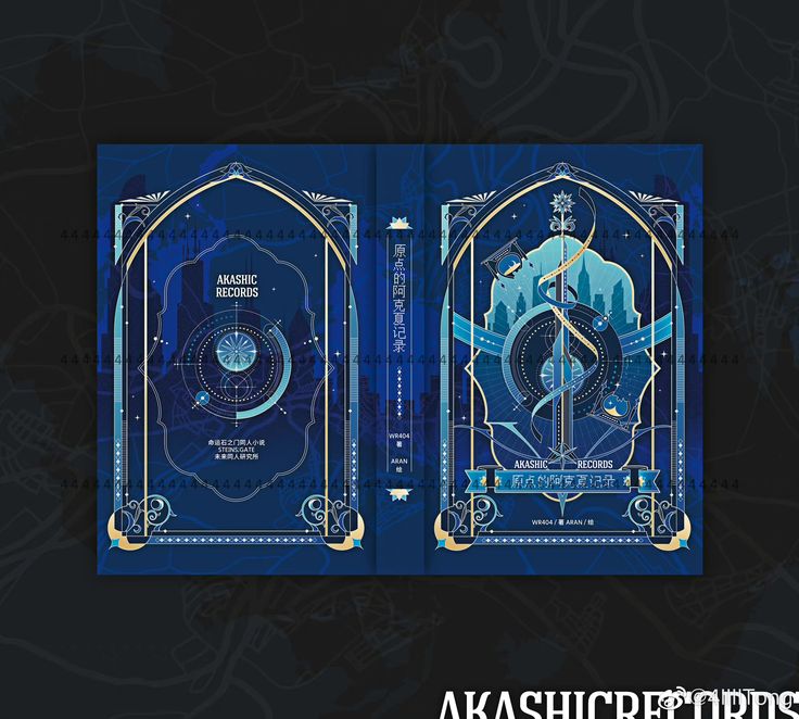 the image showcases the front and back cover design of a book titled "akashic records" (原点的阿克夏记录 in chinese). the design is intricate and detailed, featuring a dark blue background with gold and light blue accents. the cover incorporates elements of art deco, celestial imagery, and symbolic illustrations suggestive of time travel, fate, and mystical themes. the title "akashic records" is prominently displayed in english and chinese.  the authors or publishers, wr404 and aran, are also mentioned.  the overall aesthetic is sophisticated and evokes a sense of mystery and intrigue.  the design includes references to the popular visual novel and anime series steins;gate.