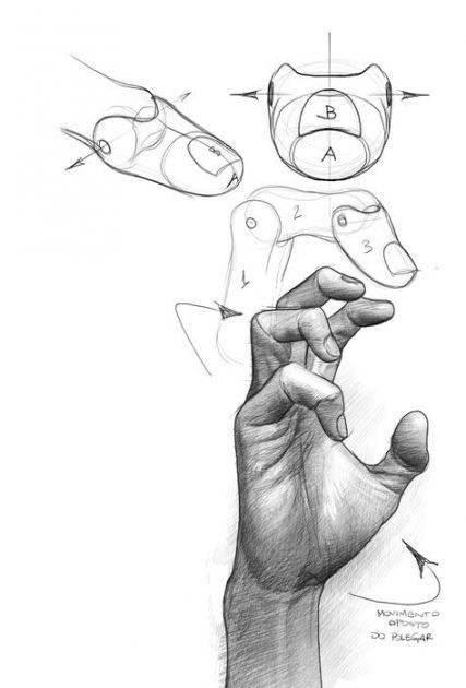 the image showcases a detailed anatomical study of a hand, rendered in pencil on a white background. it features multiple sketches from different angles and perspectives, deconstructing the hand's form and structure.  the drawings focus on the articulation of joints and the flow of lines, highlighting the hand's ability to grip and move. it appears to be an instructional reference for artists, particularly for understanding hand anatomy and gesture drawing. there are annotations and numbered points, suggesting a stepbystep approach to understanding the subject.