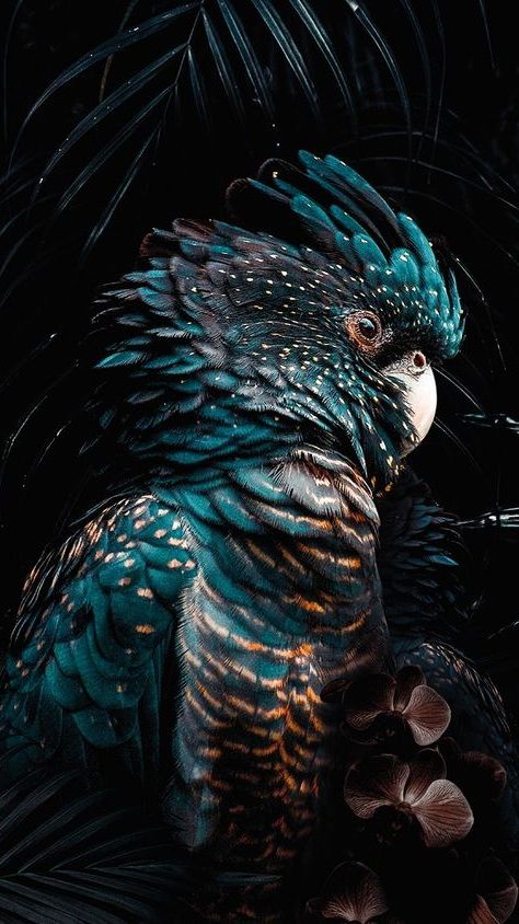 a closeup portrait shows a bluehued cockatoo perched against a backdrop of dark palm leaves. the bird's feathers exhibit a vibrant blue tone with subtle white speckles, while its beak is partially visible. the overall mood of the image is dark and mysterious, highlighting the beauty of the bird in its natural habitat.