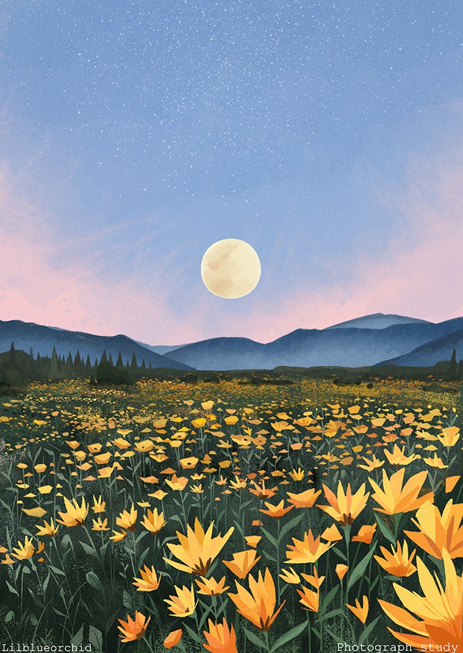 the image is a digital illustration of a field of yellow flowers under a night sky. the flowers are in full bloom and cover the entire field. in the distance, there are mountains and a full moon shining brightly in the sky. the overall atmosphere of the illustration is peaceful and serene.