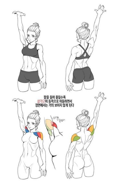 the image shows a woman in different poses, with her arms raised. the image highlights the muscles of the shoulder and back, showing how they change position when the arm is raised. the image is in black and white and has korean text.