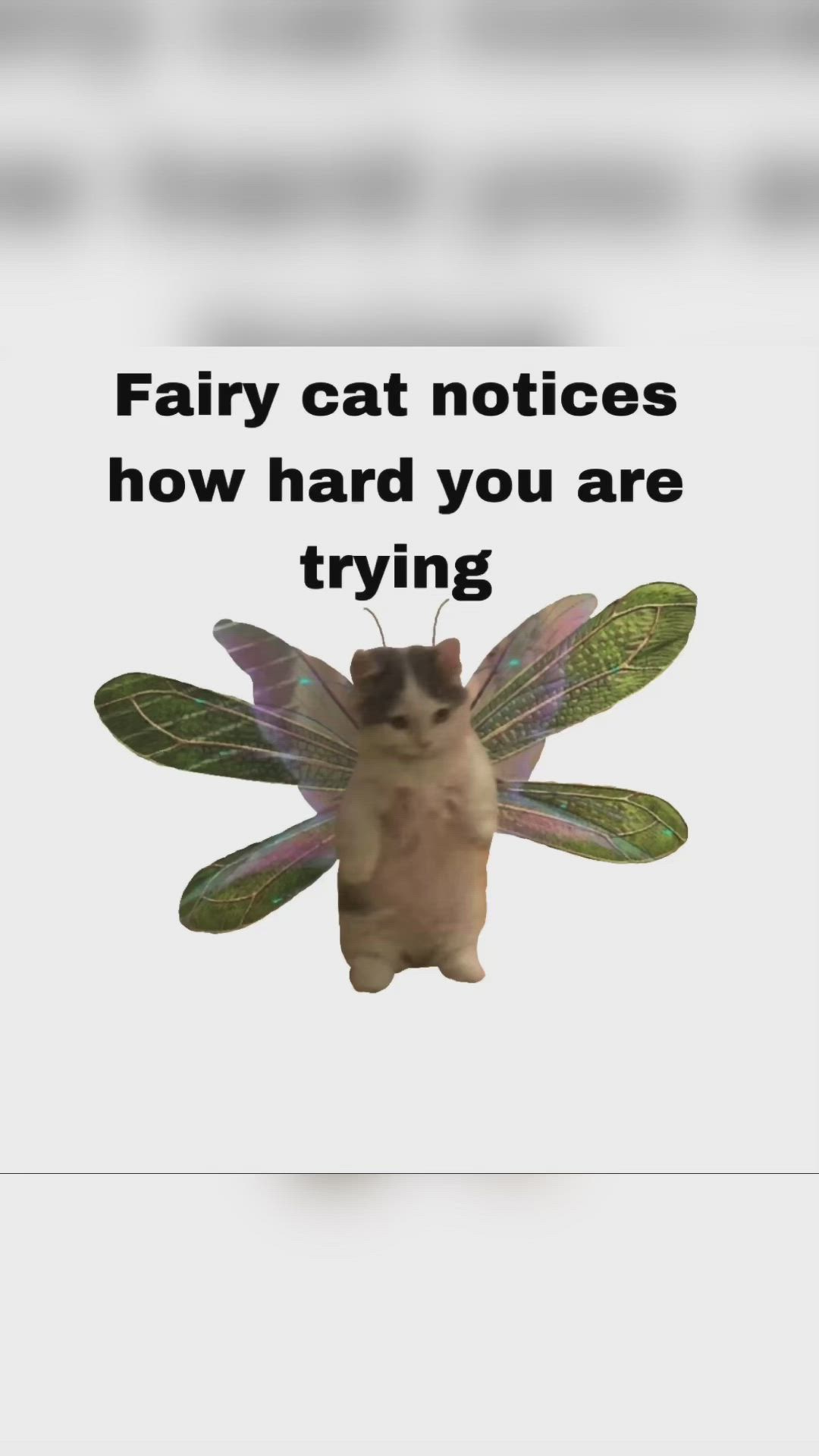 a picture of a cat wearing wings that are drawn on. the cat is looking straight ahead with a thoughtful expression and the caption reads "fairy cat notices how hard you are trying". the meme is meant to be humorous and to encourage people who are working hard to achieve their goals.
