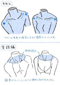 the image is a tutorial on how to draw the clavicle and shoulders, specifically how the angle of the shoulders and slouching can affect how the clavicle is drawn.  the top image shows two torsos from a slightly elevated front view, demonstrating how the clavicle changes with shoulder position.  the bottom image focuses on a male and female torso from the front, showing how to indicate the thickness of the torso by drawing the clavicle "wrapping" around the body.  the text is in japanese.