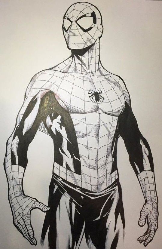 a black and white ink drawing of spiderman standing with his hands at his sides. his costume is detailed with lines and his mask shows his eyes.