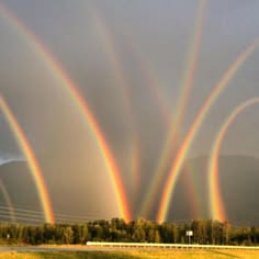 a stunning display of multiple rainbows arching across a cloudy sky. the vibrant colors of the rainbows contrast beautifully with the soft grey of the clouds. the rainbows seem to converge in the distance, creating a mesmerizing and aweinspiring sight.