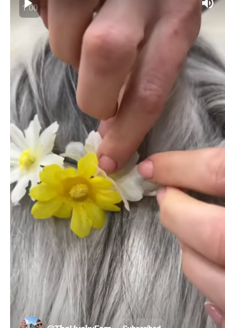 the image shows a woman's hands attaching a yellow and white flower to a person's gray hair. the flower is part of a flower crown. the background is blurred.
