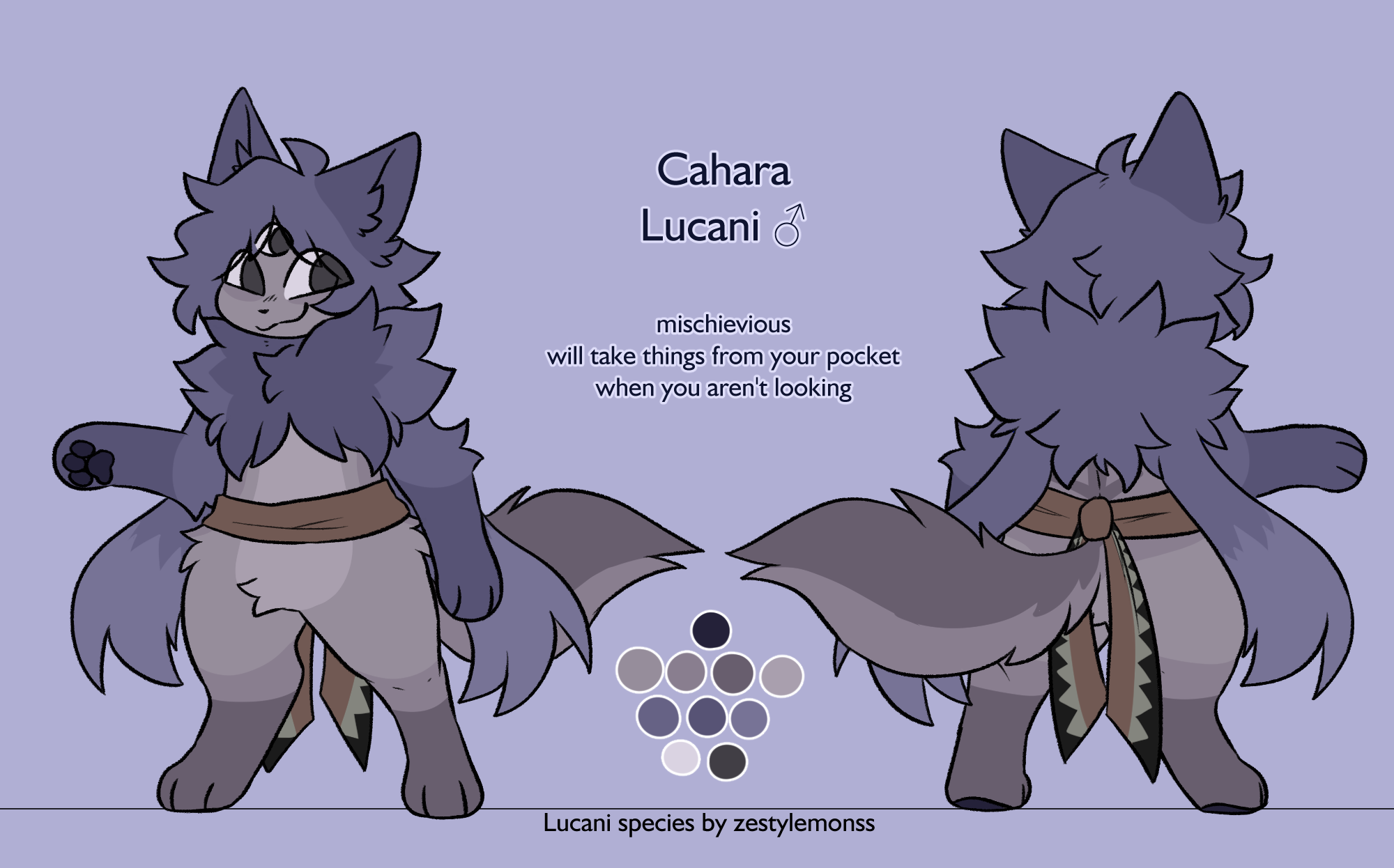 this is a reference sheet for a furry character named "cahara" who is a lucani. lucani are a fantasy species that look like wolves but with fluffy fur and unique markings. cahara is a male character and is described as "mischievous" and someone who will "take things from your pocket when you aren't looking". the reference sheet shows cahara from the front and back, with a color palette for his fur and markings. the image has a light purple background.