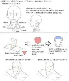 drawing tutorial explaining how to draw the neck muscles in a simplified and exaggerated style. it uses diagrams and text in japanese to illustrate the concepts.