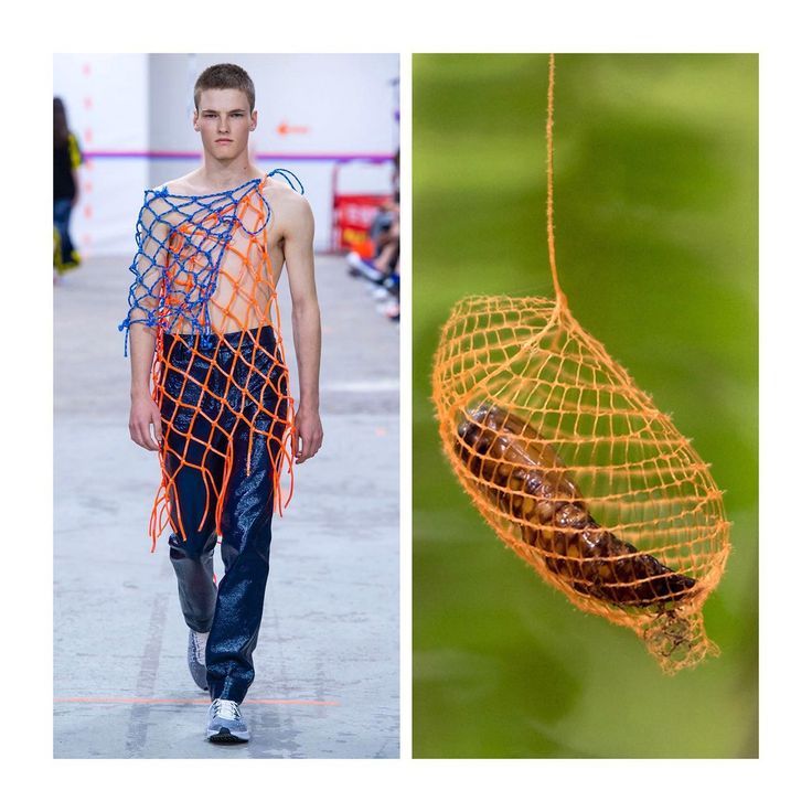 the image shows a fashion model on a runway wearing a netlike outfit. the model is male and he is wearing blue jeans and a net top made of orange and blue material. the image also shows a closeup of an insect cocoon in a net. the cocoon is brown and is encased in an orange net. the image is a juxtaposition of nature and fashion and suggests that nature can be a source of inspiration for fashion.