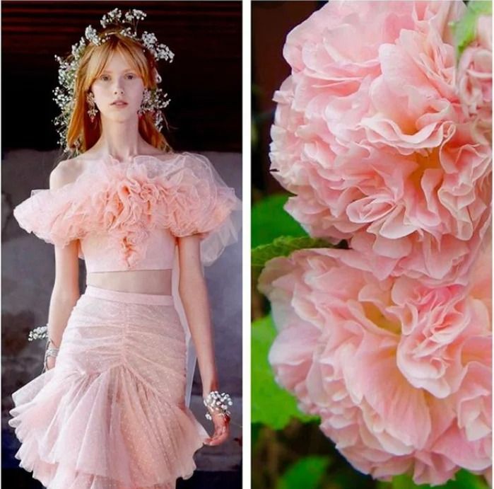a beautiful young woman in a pink dress with ruffle details.  the dress is similar in texture to the pink flower beside her.  the model is wearing a wreath of white flowers in her hair and a soft smile on her face.