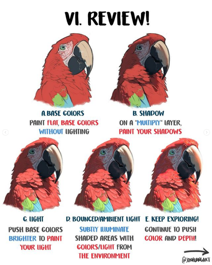 the image is a digital painting tutorial showing a stepbystep process of painting a scarlet macaw.  the tutorial uses five stages:1. base colors: a flat base layer of the macaw's colors is painted without lighting.2. shadow: shadows are added on a "multiply" layer to create depth.3. light:  brighter colors are added to highlight the areas where light hits the bird.4. bounced/ambient light: subtly illuminated shaded areas using colors representing light from the environment.5. keep exploring: the final stage encourages continued refinement of color and depth.each stage is illustrated with a separate image of the macaw, progressively showing the addition of light and shadow. the tutorial is labeled with clear instructions and is credited to @jonhuangart.