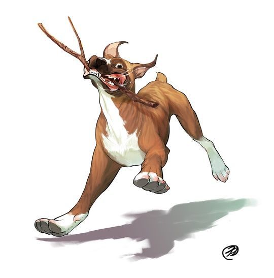 an illustration of a brown and white boxer dog running with a stick in its mouth, casting a shadow on a white background.