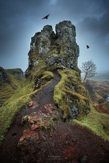 a landscape image featuring a rocky mountain with a trail leading up to it, set against a cloudy sky. two birds are flying in the sky. the mountain is covered in moss and some bare trees. the trail is winding and leads up the mountainside. the sky is overcast, creating a moody atmosphere.