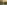 the image is a blurred abstract background with various shades of brown, green, yellow, khaki, olive, mustard and chartreuse.