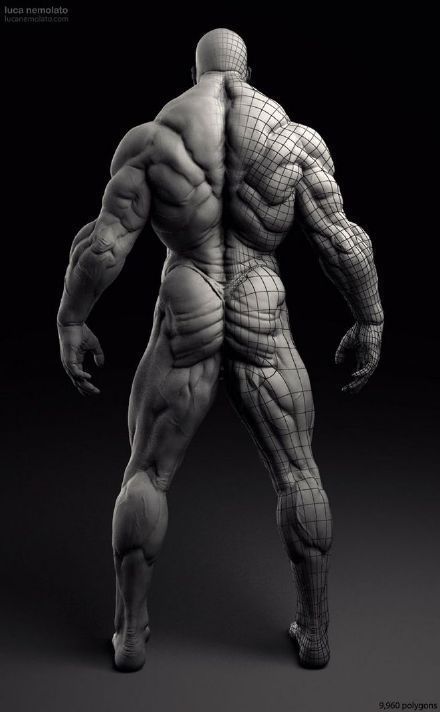 the image showcases a meticulously crafted 3d model of a muscular male figure. the model is partially overlaid with a wireframe, revealing the underlying structure and polygon count. the figure's musculature is highly detailed, highlighting the intricate interplay of tendons and muscle fibers.  the lighting is dramatic, casting deep shadows that accentuate the figure's physique.  the overall composition emphasizes the anatomical accuracy and artistic skill involved in creating such a realistic 3d model.