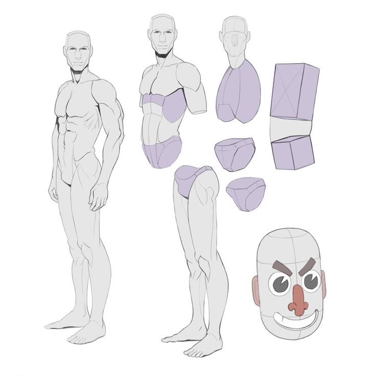 the image is an art tutorial demonstrating how to construct a male figure using basic geometric shapes.  it features a fullbody figure drawing alongside several dissected elements: a head constructed from simple shapes, the torso broken down into cubic and cylindrical shapes, and the legs similarly reduced to easily understandable forms. the purpose is to simplify the process of drawing a human figure by showing how fundamental shapes can be used to build a more complex, realistic representation. the overall style is clean and simple, using light purple shapes for the anatomical breakdowns against a lighter grey for the figure drawings themselves.