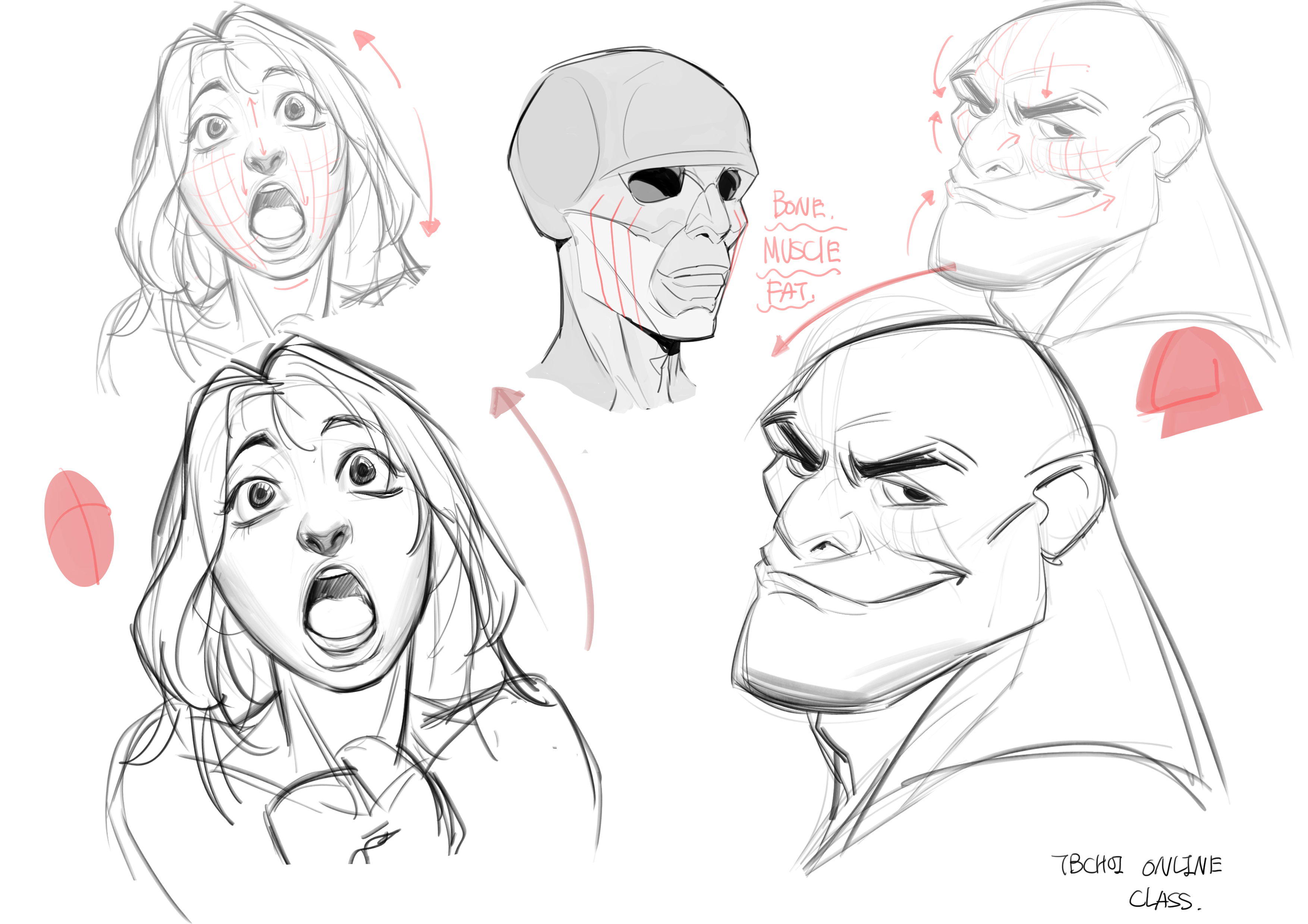 the image is a collection of sketches demonstrating facial anatomy and expressions within the context of a drawing tutorial. it appears to be from an online class, as indicated by the "tbch9 online class" caption. the sketches show various stages of drawing faces, from basic anatomical structures (bone, muscle, fat) to more stylized and expressive caricatures. multiple examples of surprised and smirking facial expressions are shown in both realistic and exaggerated styles.  the drawings use light pencil strokes, suggesting a focus on the underlying form and structure rather than highly rendered details. arrows are used to indicate muscle movement and facial features. one sketch specifically breaks down the underlying structure of the head, pointing out the location of the bone, muscle, and fat.
