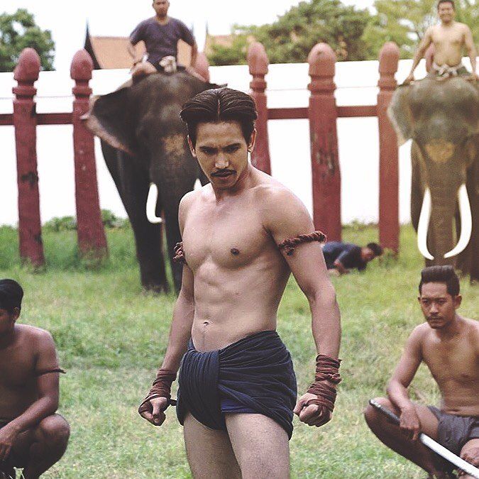 a shirtless, muscular man in traditional thai shorts stands in a fighting stance. the man has a sixpack and is looking determined. he is standing in a grassy field, and there are elephants in the background.