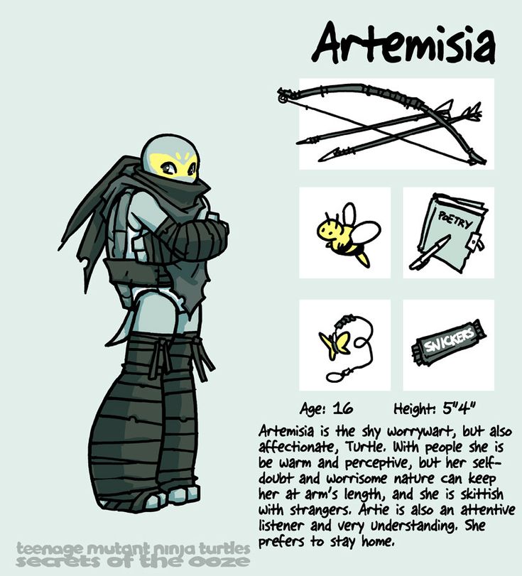 this is a digital drawing of artemisia, a teenage mutant ninja turtles character. the image includes the character's image, personality description, and a few of their belongings.  artemisia is drawn in a cartoony style with a green and yellow turtlelike mask.  her profile details that she is shy and a worrywart but is also warm and perceptive.