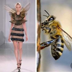 the image is a splitscreen. on the left side, a female model is wearing a unique dress designed to look like a bee. the dress has a sheer fabric and is layered with striped fabric to resemble a bee's body. the model has a beehive hairstyle and is standing in a white background. on the right side of the image, a bee is crawling on a wooden surface, possibly a branch. the image shows a creative fashion concept that links nature and design. the bee and the model's dress are both very detailed and realistic, creating a striking visual. the contrasting textures of the smooth fabric and the rough wood surface further enhance the image's artistic value.