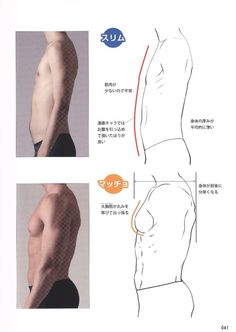 the image presents a sidebyside comparison of two male torsos, one slim and one muscular. it appears to be a page from an art tutorial or anatomy reference book, aiming to illustrate the differences in musculature and body shape. the figures are drawn in a simple, sketched style, with light shading to indicate form. japanese text provides additional information and labels, likely describing the anatomical features and proportions of each body type.