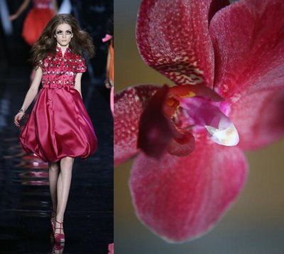 a beautiful model in a red dress poses on the runway with a vibrant orchid flower filling the right side of the image. the model's elegance and the flower's delicate beauty create a stunning and captivating scene.