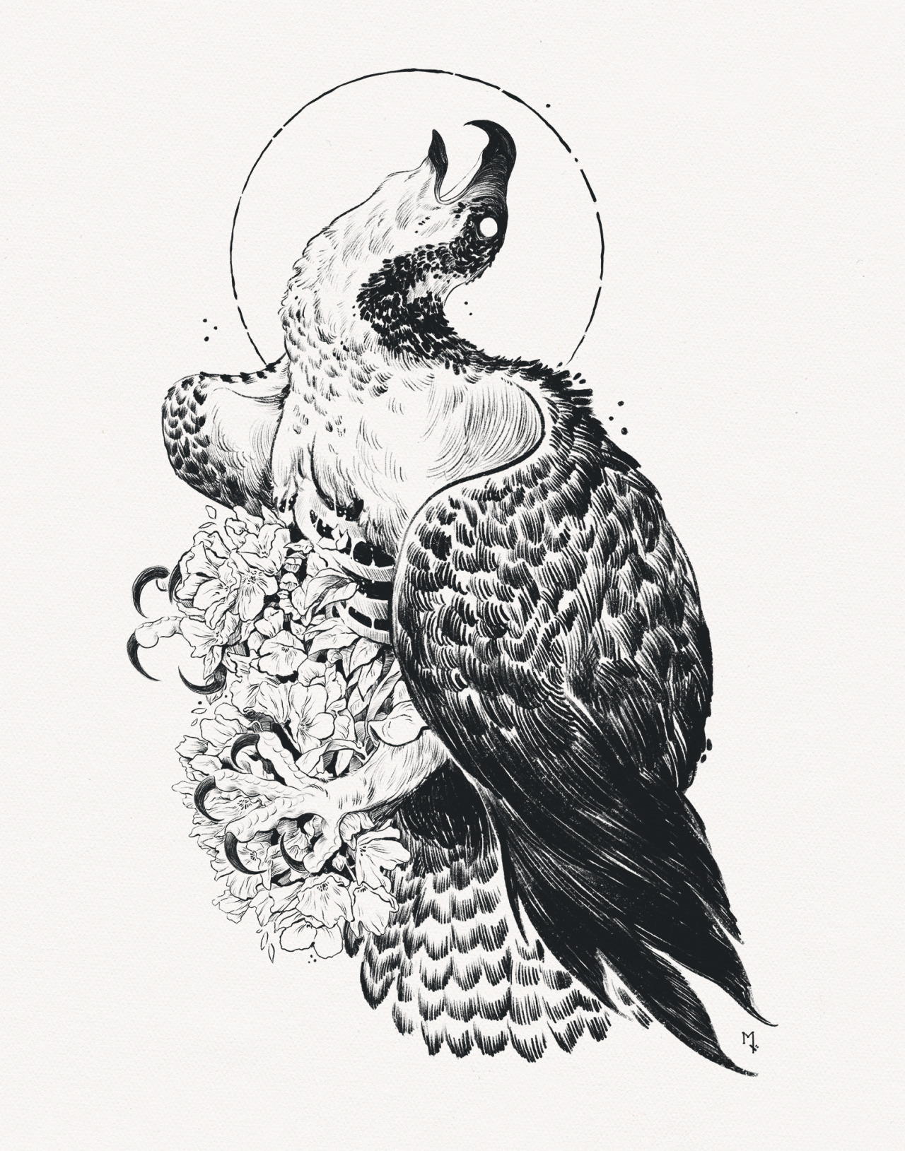 a detailed black and white ink drawing of a hawk or falcon with its wings spread and talons extended. the bird is depicted in a dynamic pose, head tilted upwards with its beak open. it is rendered with realistic detail, showing the intricate feathers and markings of the bird. the background is a simple white space, allowing the bird to be the focal point of the artwork. the drawing conveys a sense of power and majesty, capturing the essence of this raptor's predatory nature.