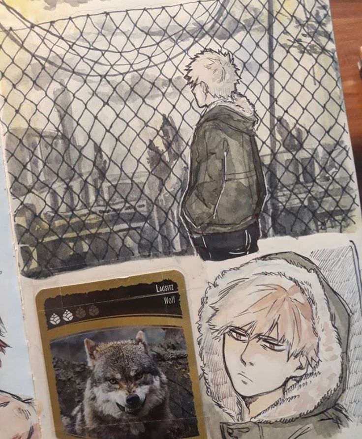 the image shows a sketchbook page with multiple illustrations.  the main focus is on two distinct drawings of a young, blondehaired anime/mangastyle male character. one drawing depicts him from behind, standing pensively in front of a chainlink fence with an industrial or urban background rendered in muted watercolors and ink.  the other drawing is a closeup portrait of the same character, possibly in a different setting, wearing a hooded winter jacket.  there is also a trading cardlike image featuring a wolf, labelled "lausitz wolf," included on the page. the overall style blends watercolor washes with ink linework for a textured and atmospheric effect. the sketchbook page is filled, suggesting a process of artistic creation.