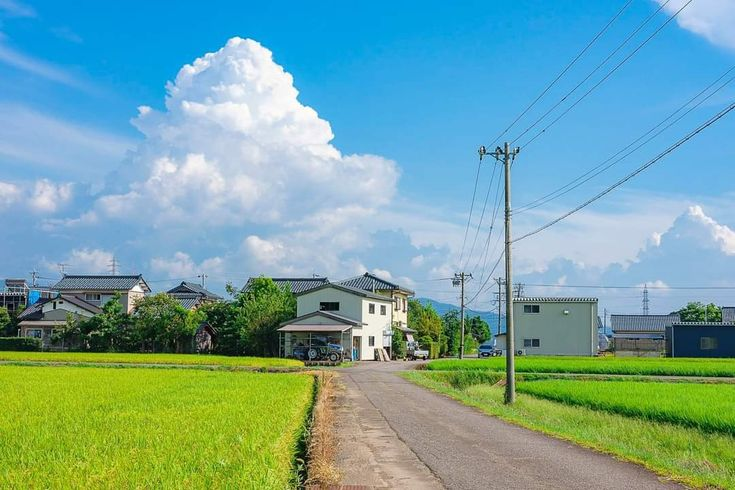 the image shows a rural landscape with paddy fields and houses under a blue sky with fluffy white clouds. a road runs through the center of the image, flanked by green fields. houses are visible in the background. utility poles and power lines are also present.