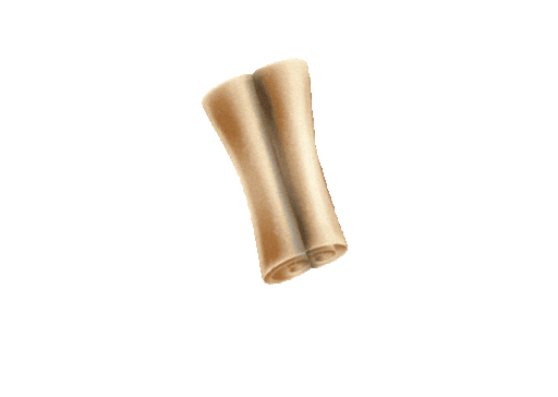 a tan scroll, appearing to be made of parchment, is rolled up and oriented vertically. it is set against a black background.