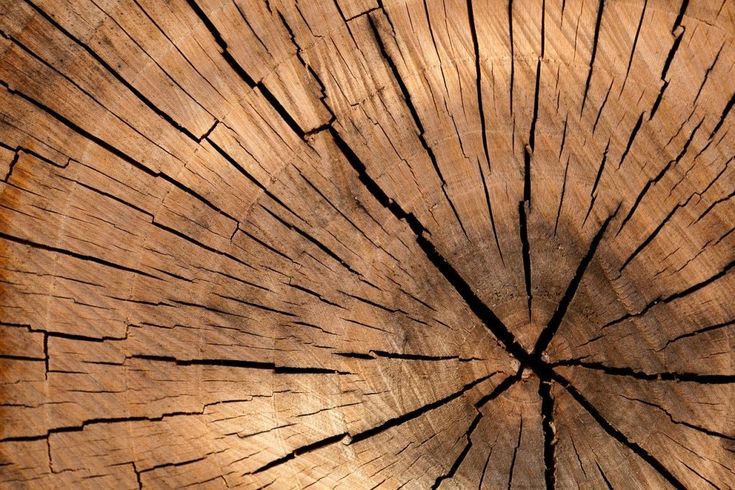 a closeup shot of the center of a tree trunk, showing its intricate rings and cracks. the wood is a rich brown color, with a weathered and rustic look.  the radial pattern of the wood grain is visible, creating a beautiful natural design. the center of the trunk is dark and slightly obscured, suggesting a long history of growth.