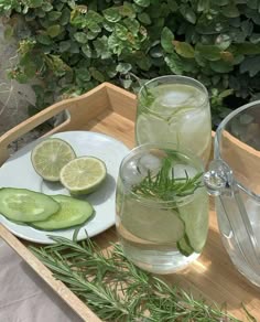 a closeup shot of a refreshing summer drink, possibly a homemade lemonade or iced tea, with slices of lemon and cucumber. the drink is garnished with rosemary and sits in a glass on a wooden tray with more cucumber and lemon slices. the image has a fresh and healthy feel, with green and white tones dominating the scene.  the tray is surrounded by lush green foliage, adding to the organic and natural feel of the image.