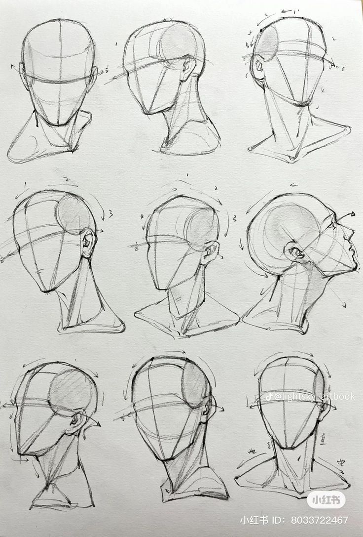the image contains a collection of pencil sketches depicting various views of human heads and necks.  the sketches range from front and side profiles to threequarter views.  many include construction lines and shading to demonstrate form and volume.  the style is realistic, focusing on anatomical accuracy and the representation of light and shadow.  the sketches are arranged in a gridlike pattern on a sheet of paper.  a watermark is visible in the lower right corner.