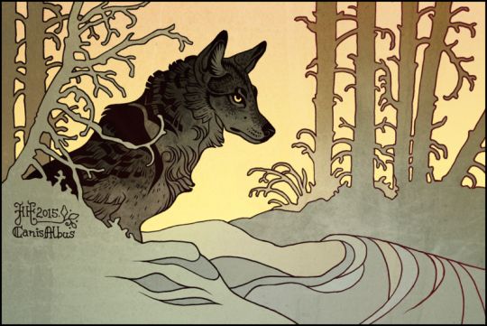 the image is a stylized illustration of a wolf or coyote, rendered in a style reminiscent of art deco or vintage poster art.  the animal is depicted in a dark greybrown color against a background of a muted yelloworange sunset and a stylized forest of tall, slender trees. the snow is suggested by gently undulating lines on the ground. the overall feeling is peaceful and serene. there is an artist's signature and date ("jhf 2015 canis albus") visible in the bottom left corner. the animal appears to be calmly observing the scene before it, perhaps at the edge of a forest clearing. the style is sophisticated and highly detailed, even while maintaining a graphic simplicity.