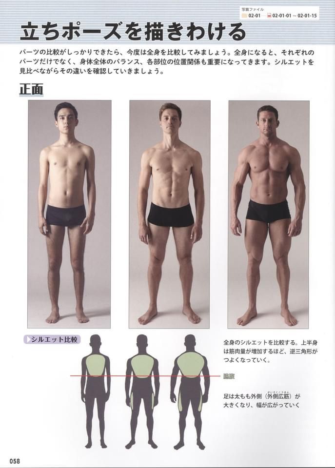this is a drawing tutorial on how to draw different male silhouettes with a focus on how muscle development affects silhouette. the image includes three sidebyside comparisons of male silhouettes: one lean, one average, and one muscular. the image also includes a line drawing of the three silhouettes, with red lines showing the difference in body proportion between the different builds. the text in the image reads: "standing poses  drawing and comparing" and provides specific details on how muscle development affects the overall silhouette of a male figure. the text also highlights the importance of comparing silhouettes and observing how different proportions and muscle mass alter the overall shape of a figure.