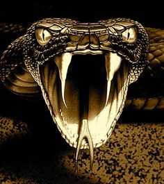 a closeup shot of a snake's open mouth with fangs showing. the snake is in focus and the background is blurred. the snake's scales are visible and its eyes are open. the snake's mouth is open wide and its fangs are pointed forward. the snake is a dangerous predator and it is clear that it is