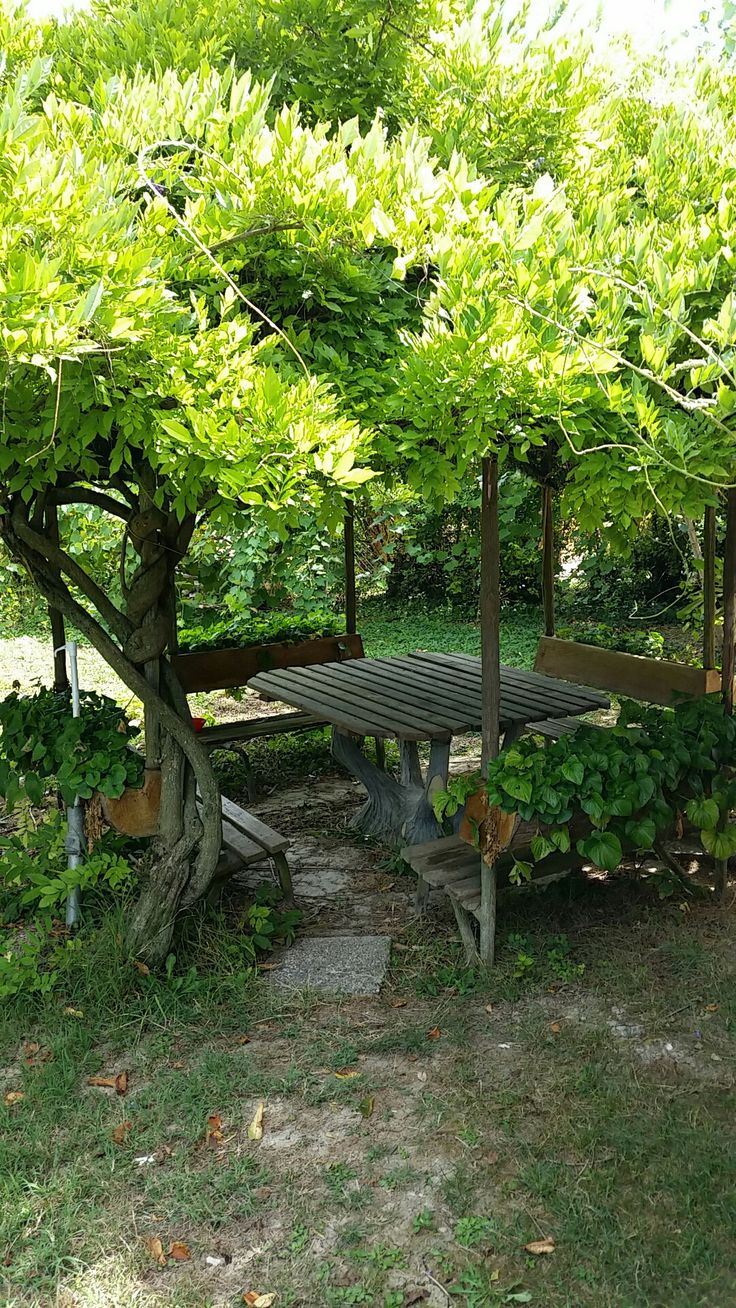 a wooden picnic table with benches sits under the shade of a large tree in a garden. the tree's leaves create a canopy over the table, and surrounding plants and grass add to the natural setting.