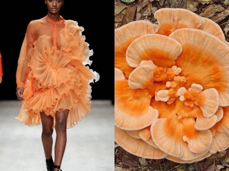 the image is a split image. on the left side, a fashion model is wearing a ruffled orange dress. on the right side, a close up of an orange mushroom is displayed. the image appears to highlight the inspiration of the ruffled dress and the natural world.