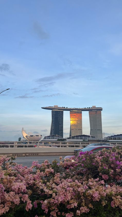 the image shows the marina bay sands hotel in singapore at sunset. the three towers of the hotel are prominent in the background, with the setting sun reflecting off their glass facades. in the foreground, there is a vibrant display of pink bougainvillea flowers in full bloom. a road and bridge are visible in the middle ground, with cars traveling along. the overall atmosphere is serene and peaceful, showcasing a beautiful blend of nature and urban development. the sky is a soft blend of blues and oranges, typical of a twilight scene. the image is well composed, with a clear subject and a pleasant color palette.