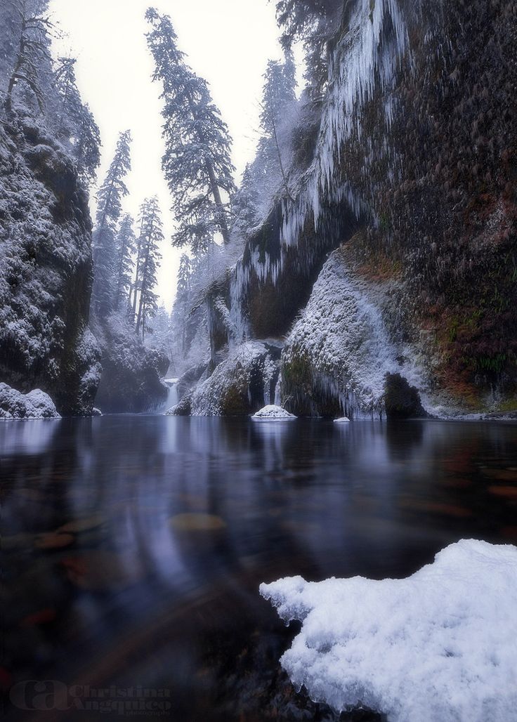 the image is a scenic landscape of a river flowing through a snowcovered canyon during winter. the canyon walls are covered in snow and icicles, and the river reflects the surrounding environment. tall trees line the canyon, adding to the serene winter scene. a waterfall can be seen in the distance.