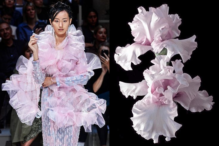 this image showcases a fashion model on a runway, adorned in a stunning pink dress. the dress is a masterpiece of intricate ruffles and sheer fabric, giving it a delicate and ethereal look. the design is reminiscent of a flower, particularly an iris, which is showcased on the right side of the image. the model's elegant pose and the dress's intricate details capture the essence of high fashion, combining beauty and artistry. the overall impression is one of feminine elegance and a touch of whimsy.